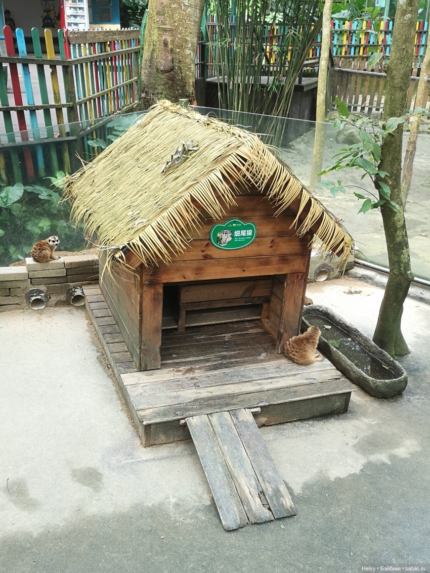 Китай глазами Карлы. Парк Янода на о. Хайнань