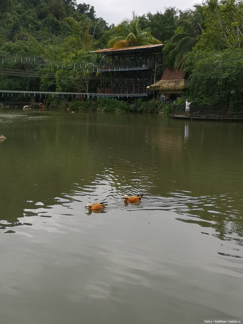 Китай глазами Карлы. Парк Янода на о. Хайнань