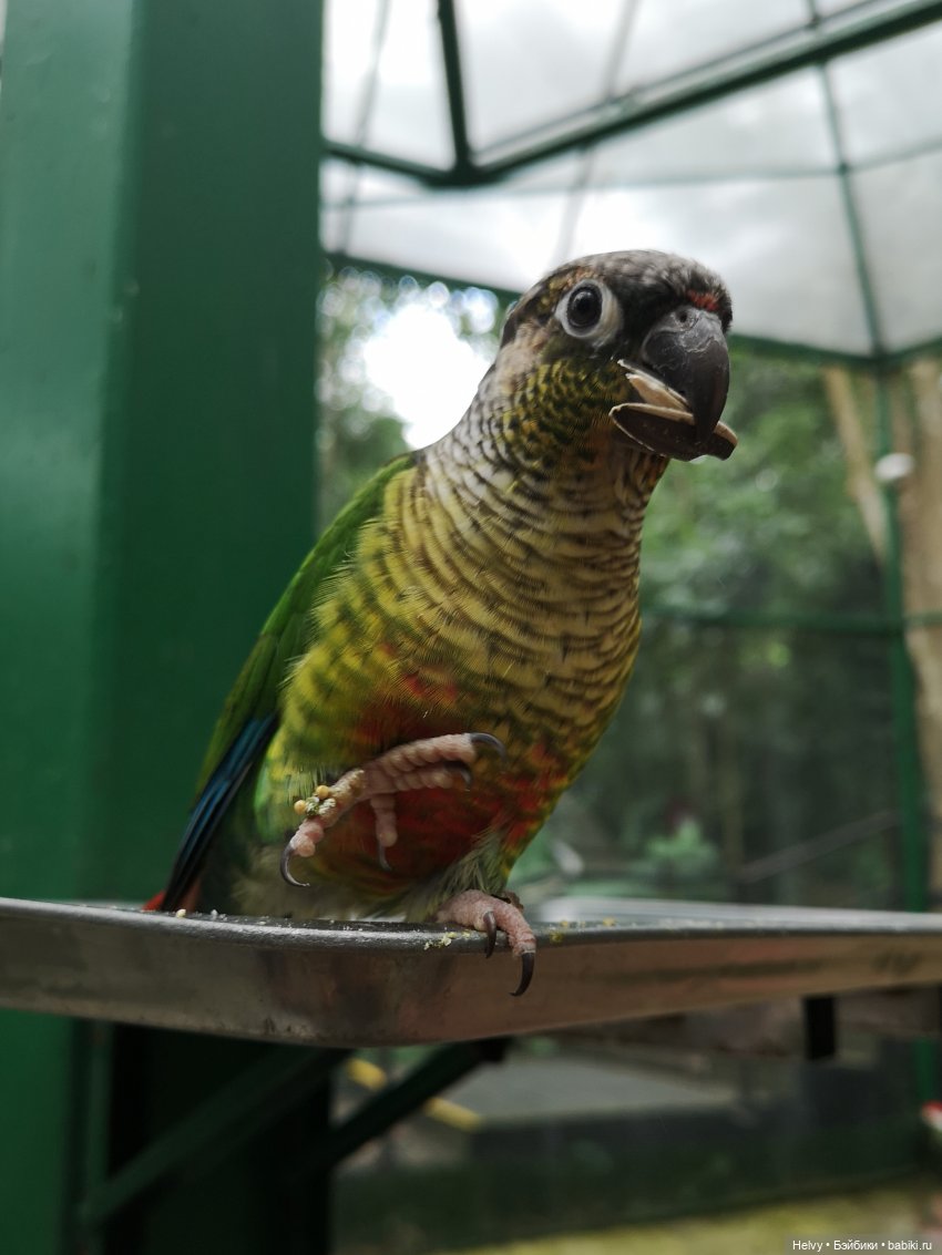 Китай глазами Карлы. Парк Янода на о. Хайнань