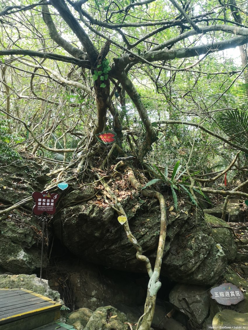 Китай глазами Карлы. Парк Янода на о. Хайнань