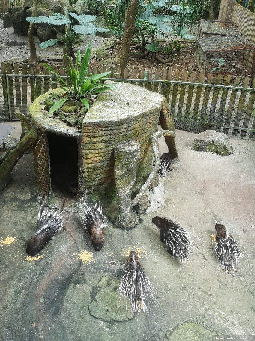 Китай глазами Карлы. Парк Янода на о. Хайнань