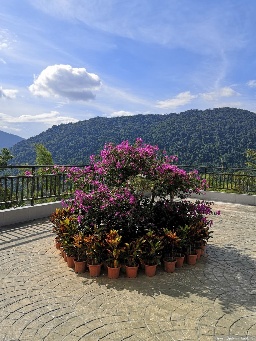 Китай глазами Карлы. Парк Янода на о. Хайнань (фото 2)