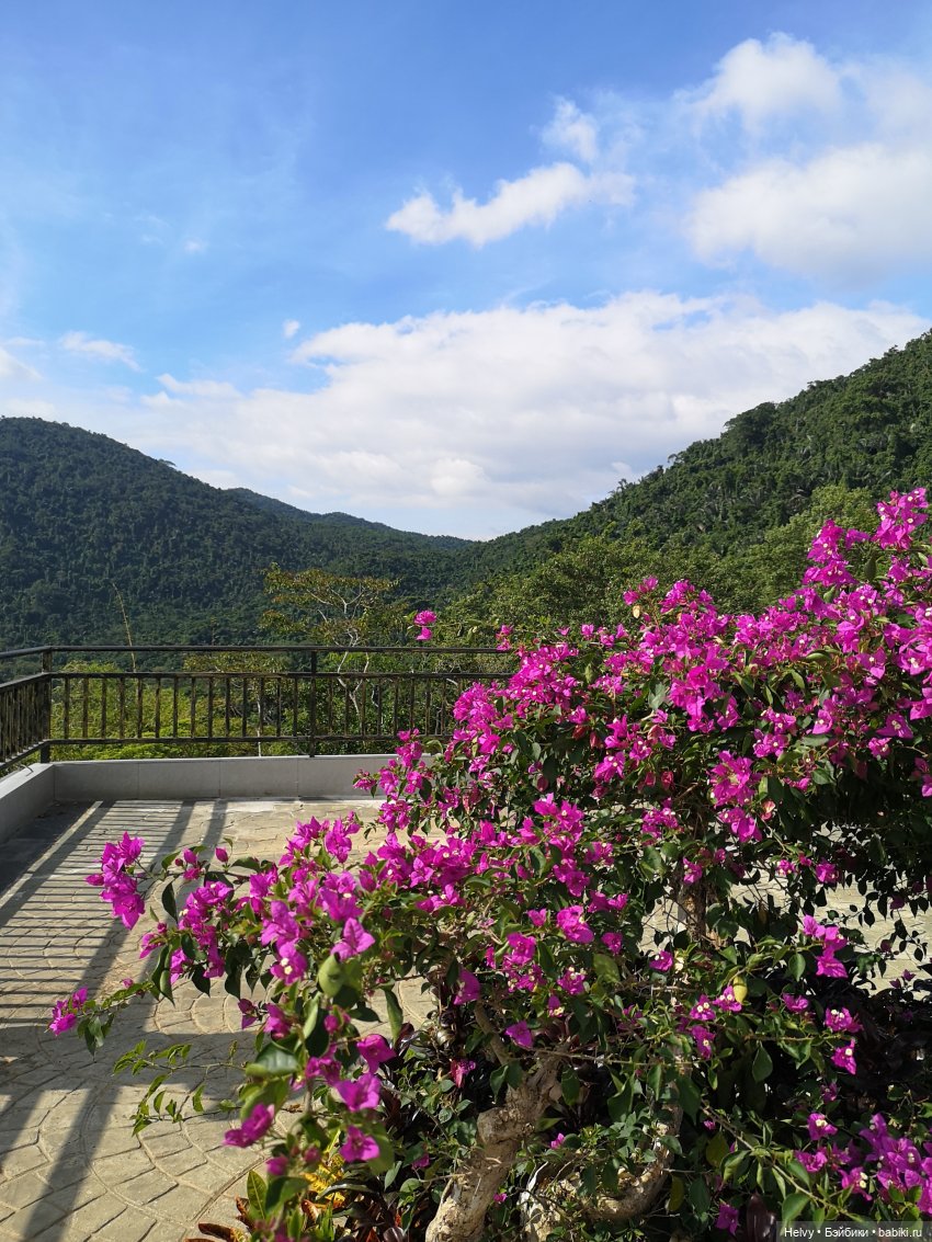 Китай глазами Карлы. Парк Янода на о. Хайнань (фото 3)