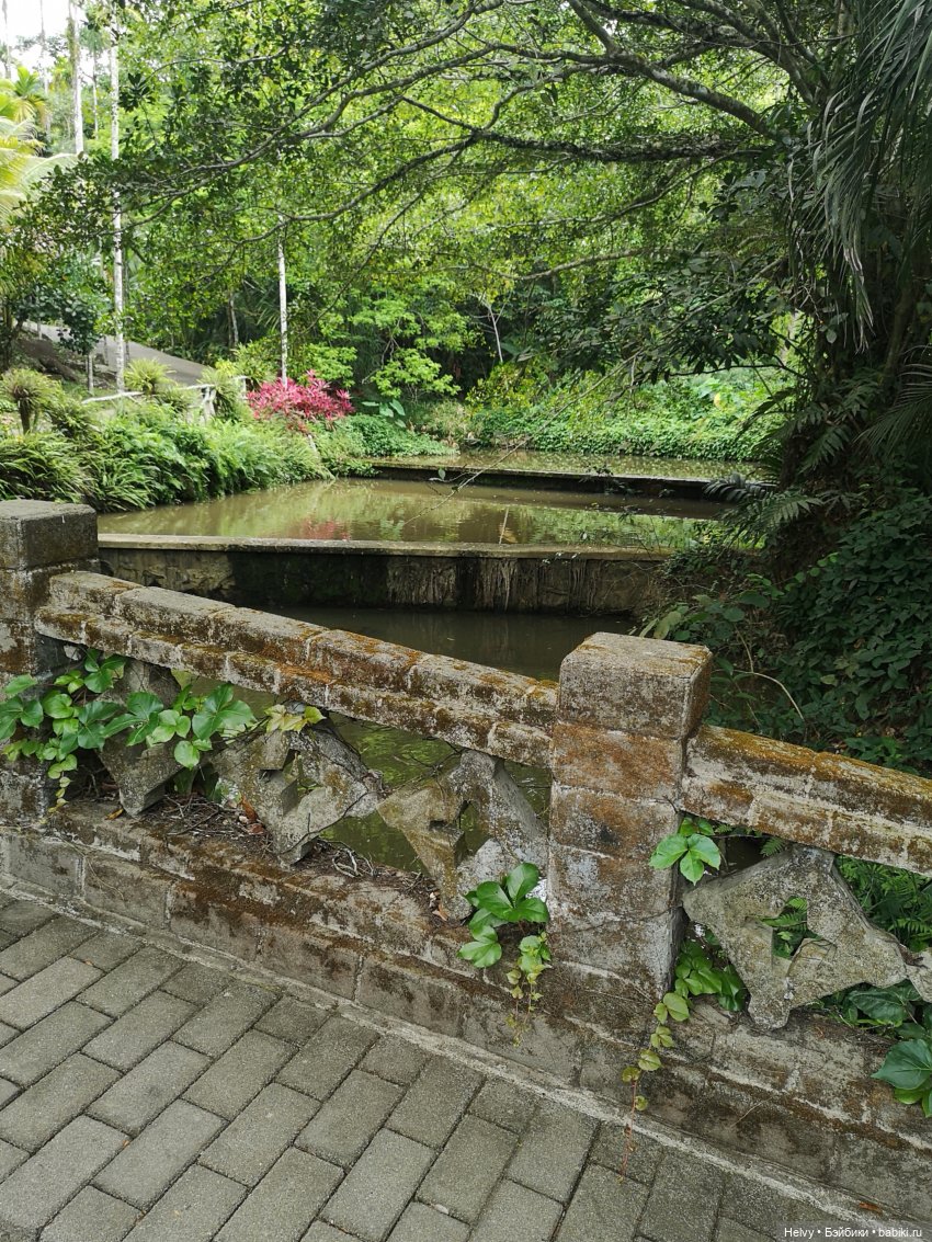 Китай глазами Карлы. Парк Янода на о. Хайнань