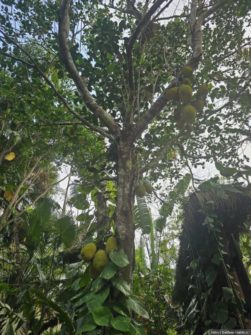 Китай глазами Карлы. Парк Янода на о. Хайнань