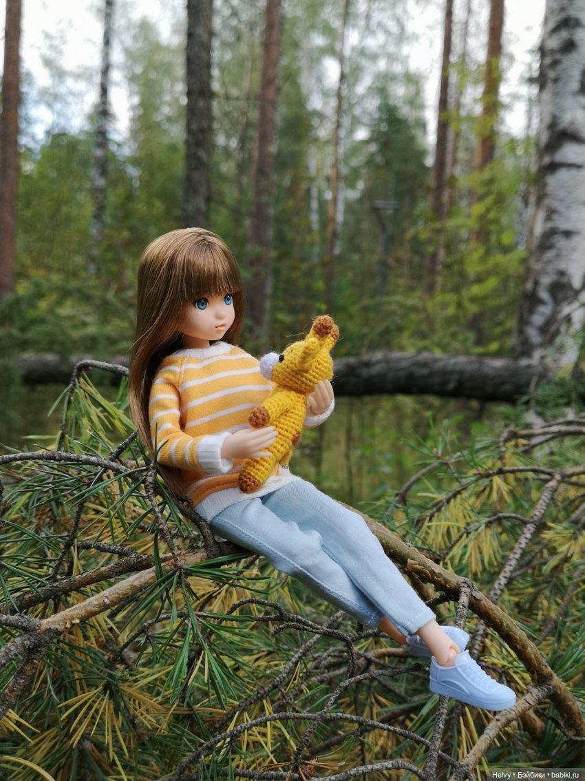 Прогулка в лесу — Куклы Momoko и Ruruko (Petworks