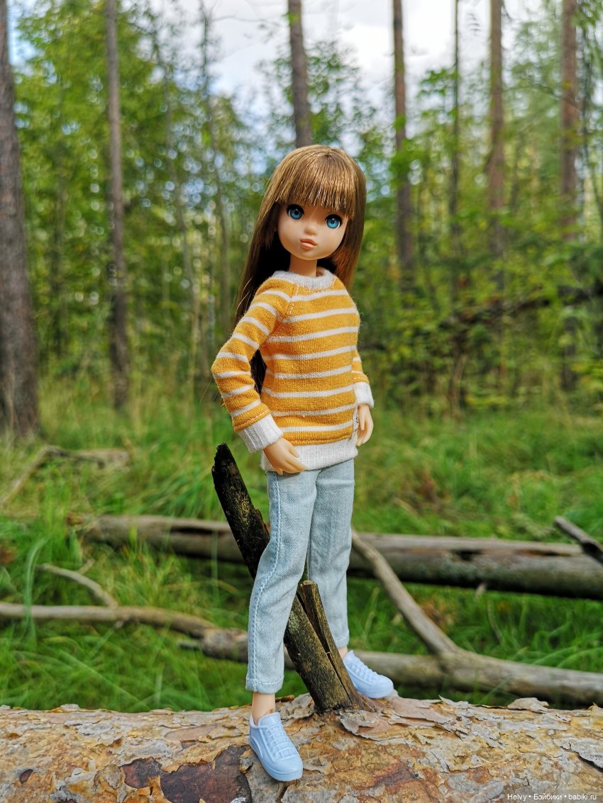 Прогулка в лесу — Куклы Momoko и Ruruko (Petworks (фото 4)