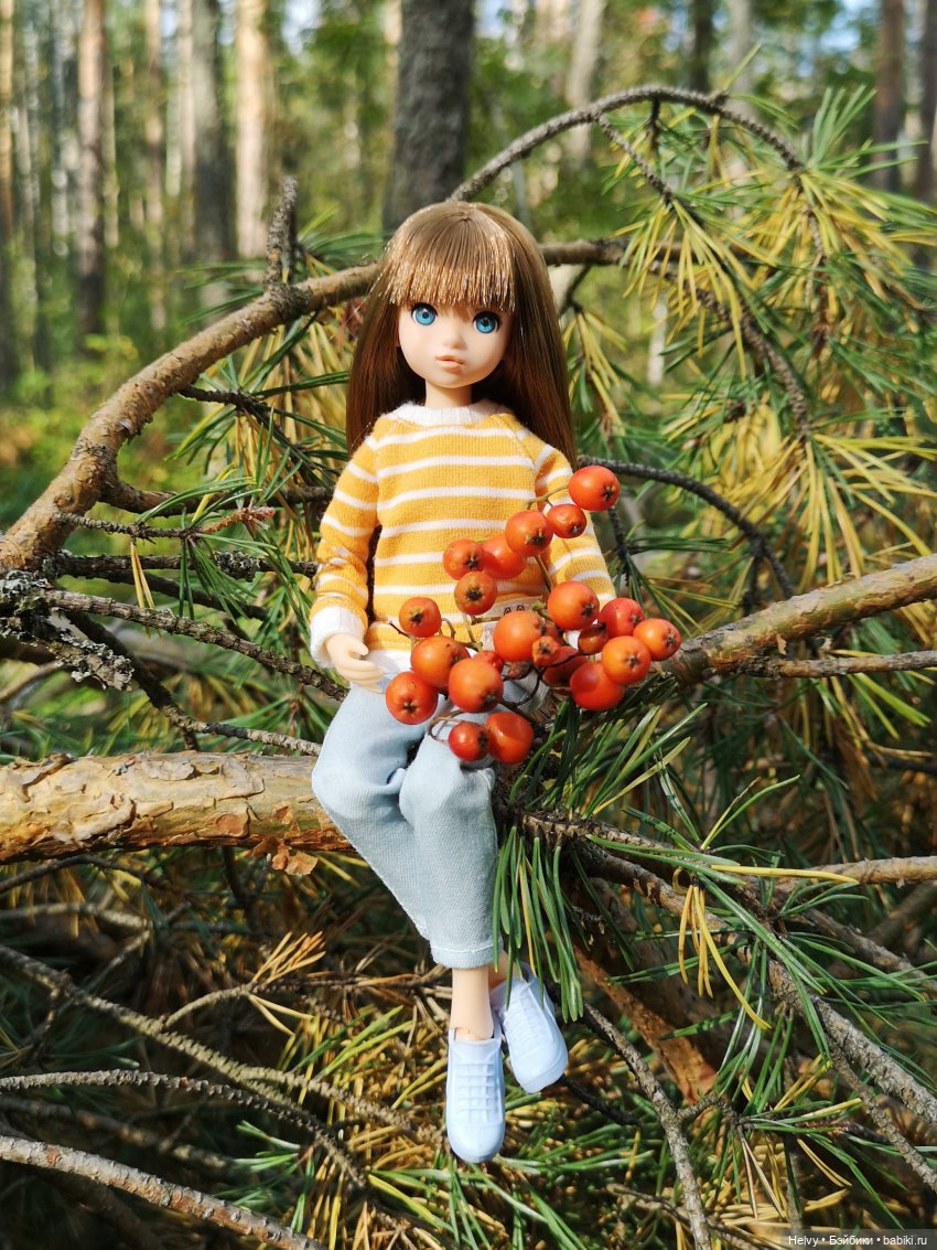 Прогулка в лесу — Куклы Momoko и Ruruko (Petworks (фото 5)