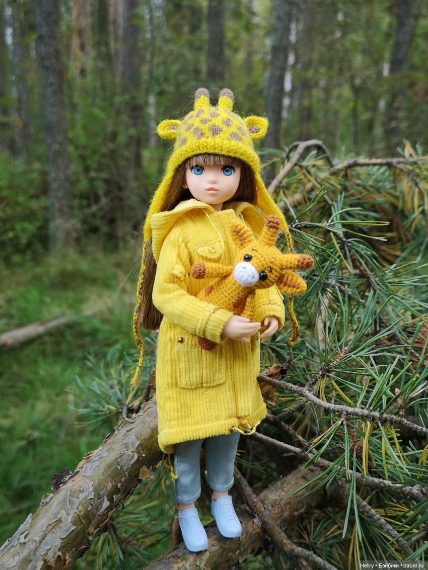 Гардероб для Ruruko — Куклы Momoko и Ruruko (Petworks (фото 10)