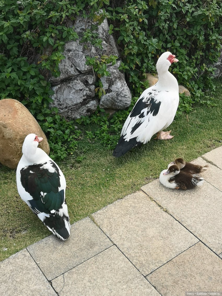 Лето в любое время года — Куклы Barbie (Барби): Looks