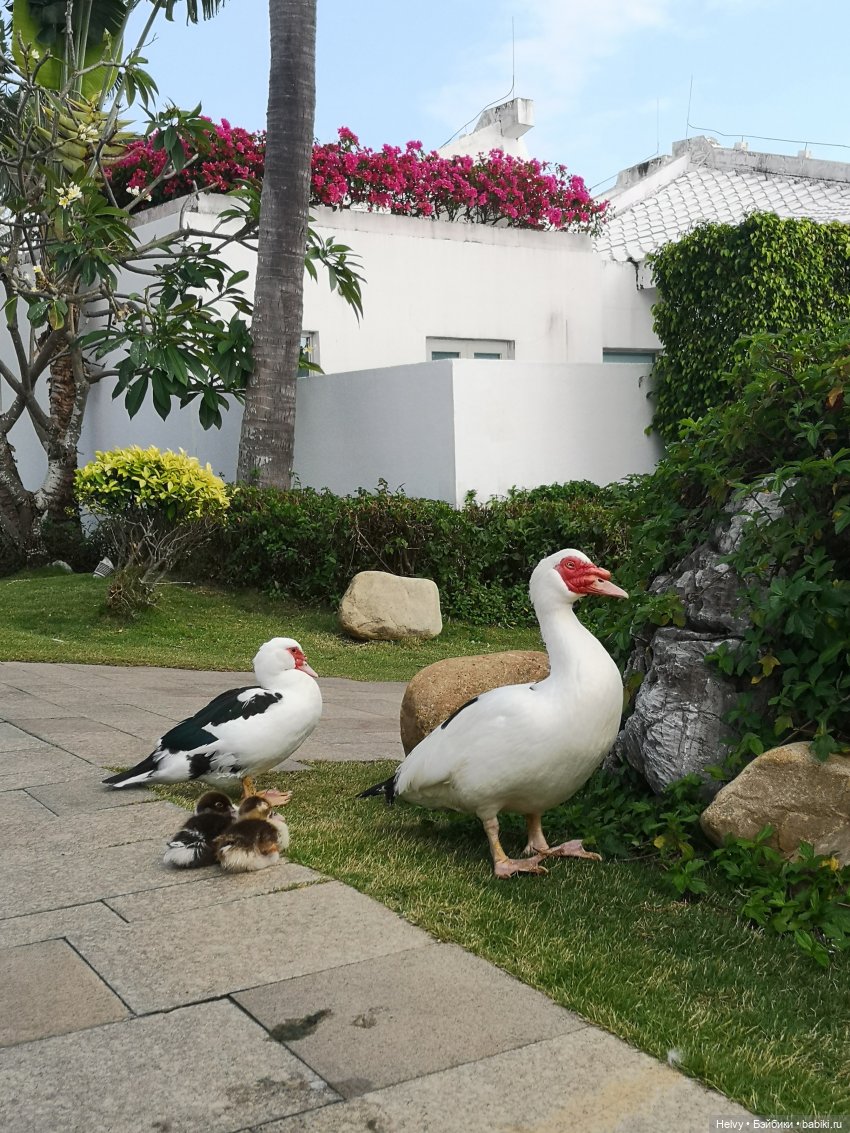 Лето в любое время года — Куклы Barbie (Барби): Looks