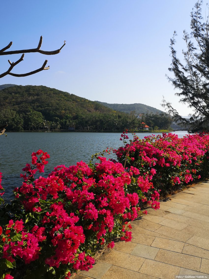 Лето в любое время года — Куклы Barbie (Барби): Looks (фото 9)