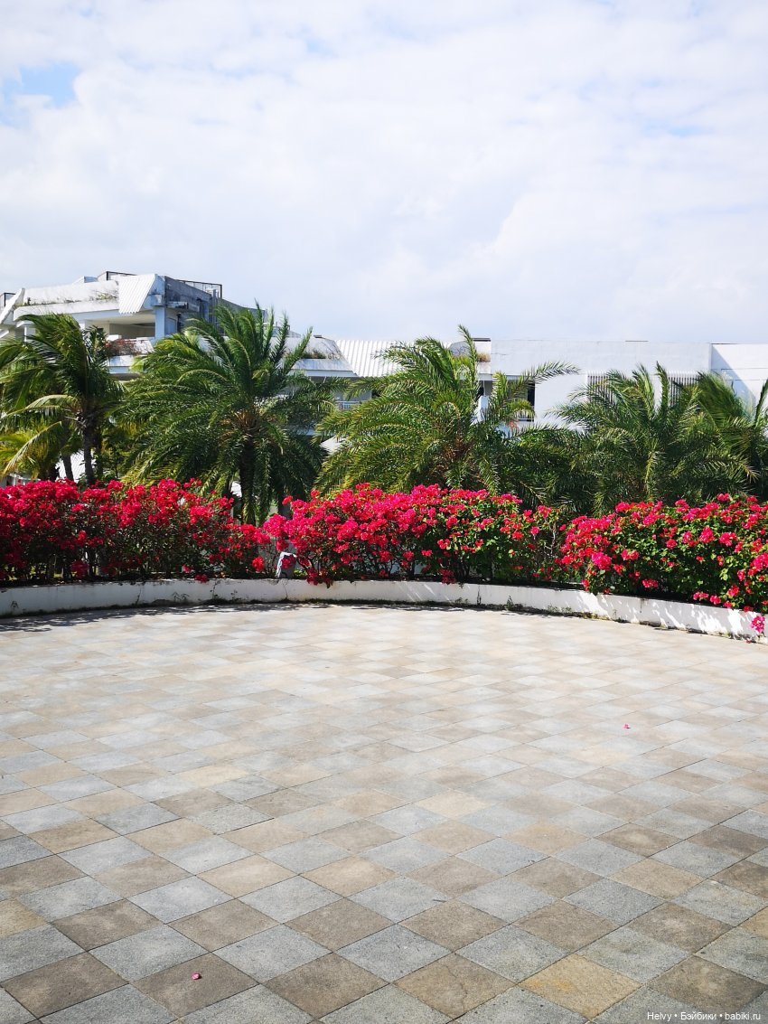 Лето в любое время года — Куклы Barbie (Барби): Looks (фото 7)