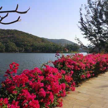 Лето в любое время года