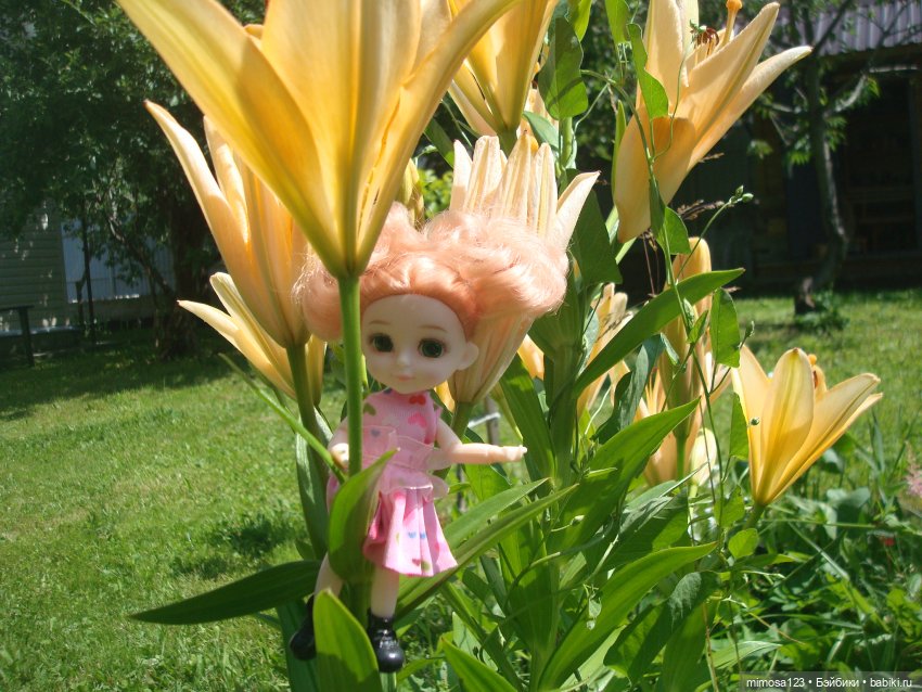 Манюня и Ханна на даче — Куклы Baboliy (Баболи (фото 5)