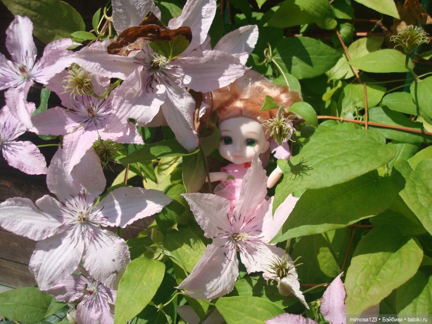 Манюня и Ханна на даче — Куклы Baboliy (Баболи (фото 4)