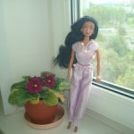 Барби Жасмин из прошлого