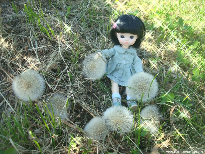 Путешествие Галинки — Куклы Xiaomi Monst (Сяоми) и Pipitom: шарнирные (фото 4)