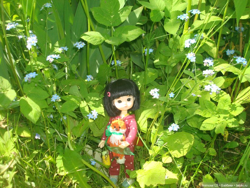 Путешествие Галинки — Куклы Xiaomi Monst (Сяоми) и Pipitom: шарнирные (фото 7)