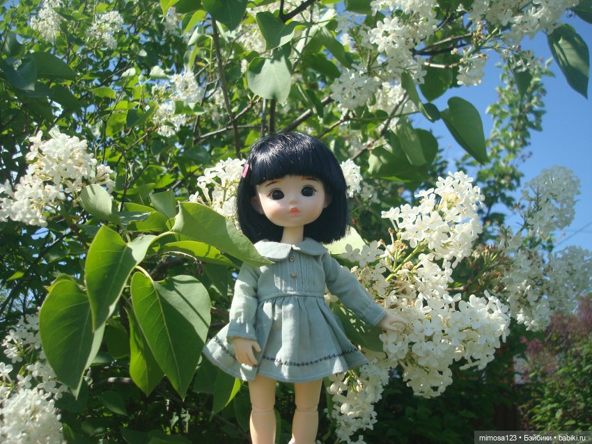 Путешествие Галинки — Куклы Xiaomi Monst (Сяоми) и Pipitom: шарнирные (фото 2)