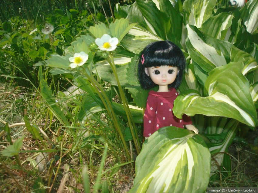 Путешествие Галинки — Куклы Xiaomi Monst (Сяоми) и Pipitom: шарнирные (фото 8)