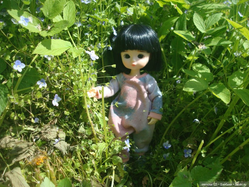 Путешествие Галинки — Куклы Xiaomi Monst (Сяоми) и Pipitom: шарнирные (фото 10)