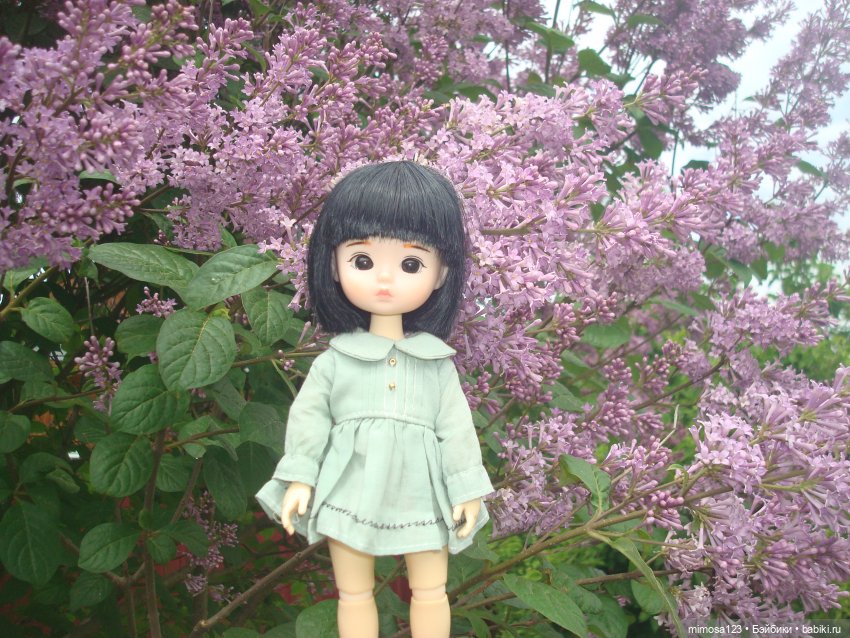 Путешествие Галинки — Куклы Xiaomi Monst (Сяоми) и Pipitom: шарнирные