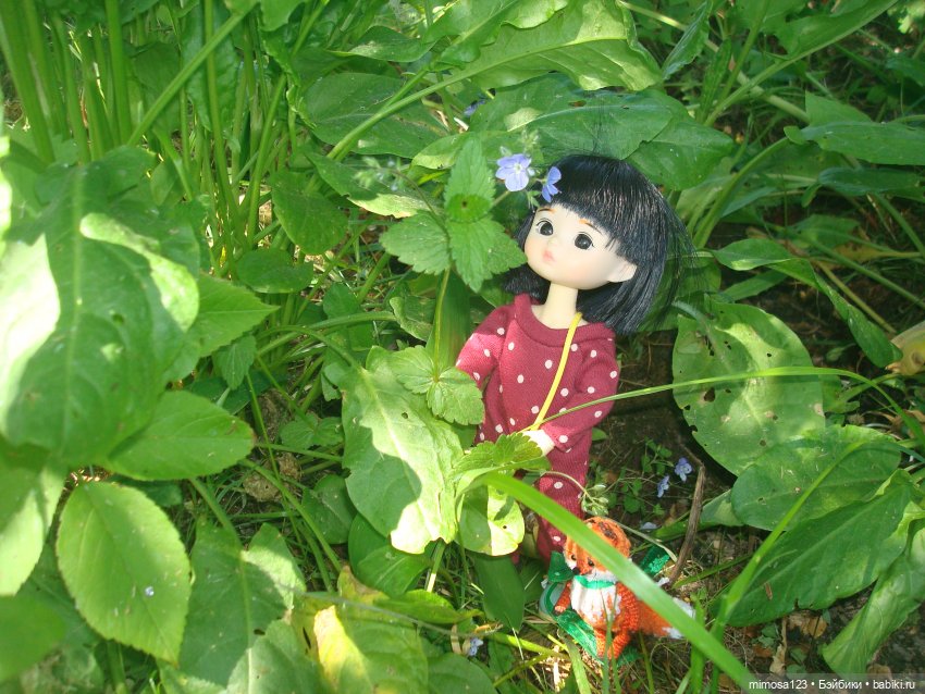 Путешествие Галинки — Куклы Xiaomi Monst (Сяоми) и Pipitom: шарнирные (фото 6)