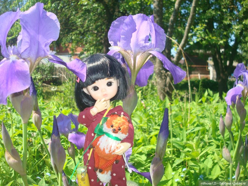 Путешествие Галинки — Куклы Xiaomi Monst (Сяоми) и Pipitom: шарнирные (фото 9)