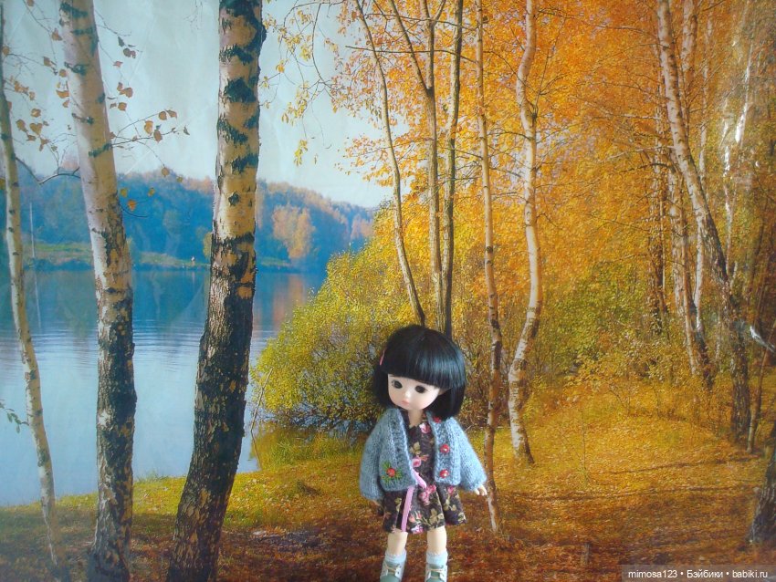 Путешествие Галинки — Куклы Xiaomi Monst (Сяоми) и Pipitom: шарнирные