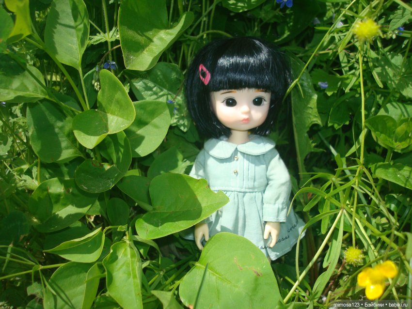 Путешествие Галинки — Куклы Xiaomi Monst (Сяоми) и Pipitom: шарнирные (фото 5)