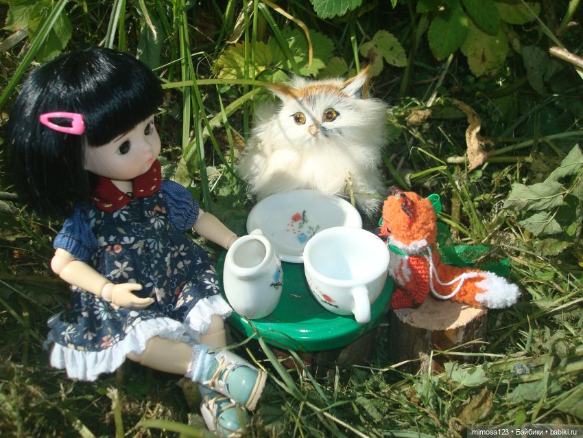 Путешествие Галинки — Куклы Xiaomi Monst (Сяоми) и Pipitom: шарнирные