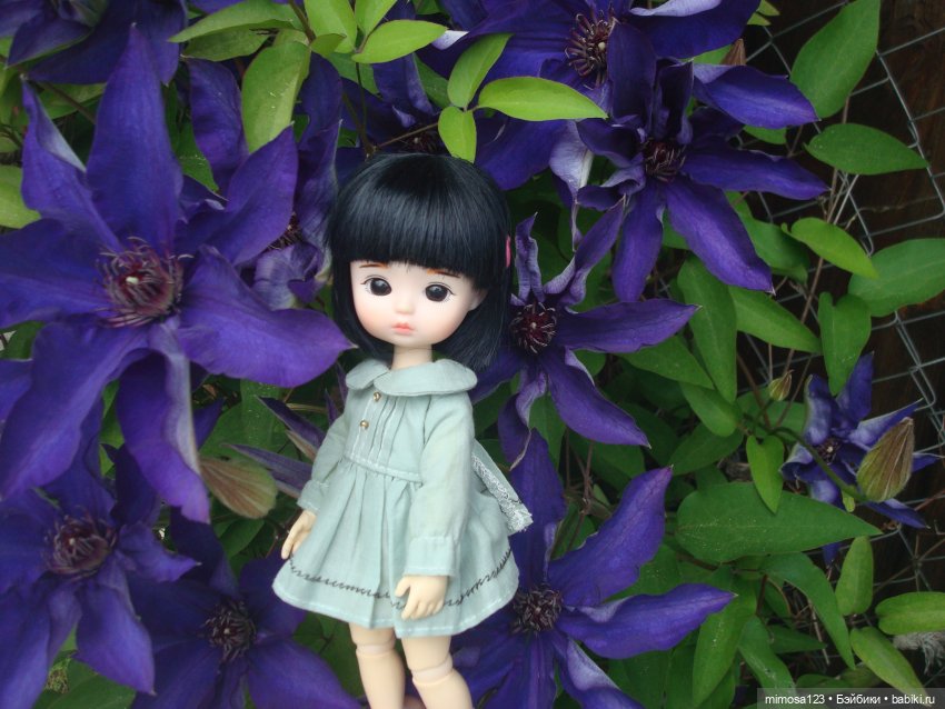 Путешествие Галинки — Куклы Xiaomi Monst (Сяоми) и Pipitom: шарнирные (фото 3)