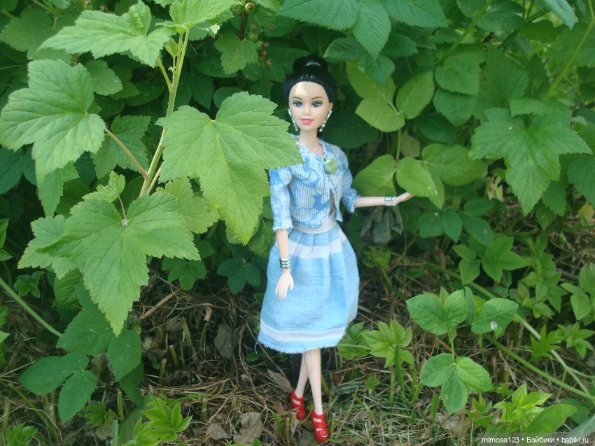 Ничего особенного, просто Аврора (фото 9)