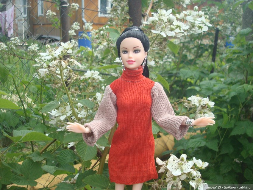 Ничего особенного, просто Аврора (фото 3)