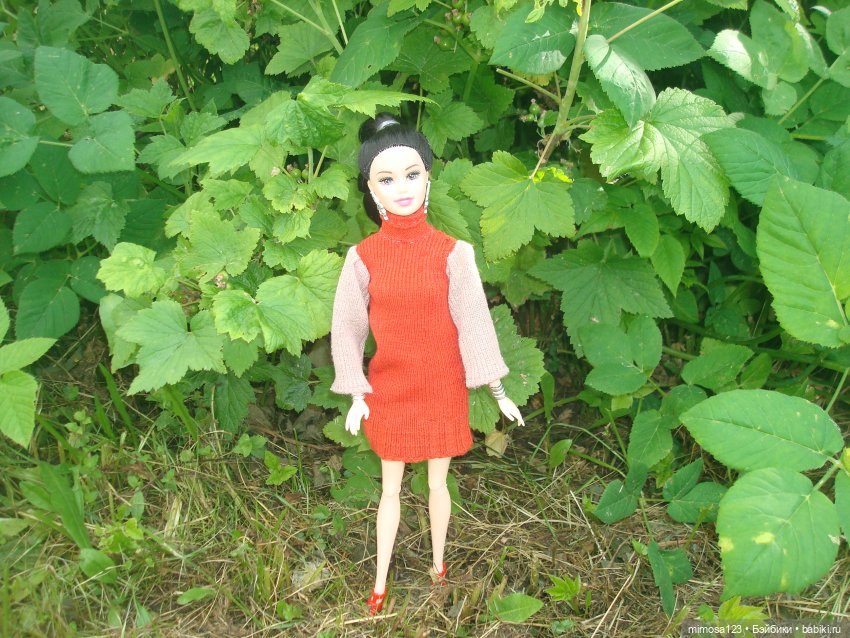 Ничего особенного, просто Аврора (фото 8)