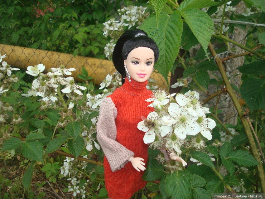 Ничего особенного, просто Аврора (фото 2)