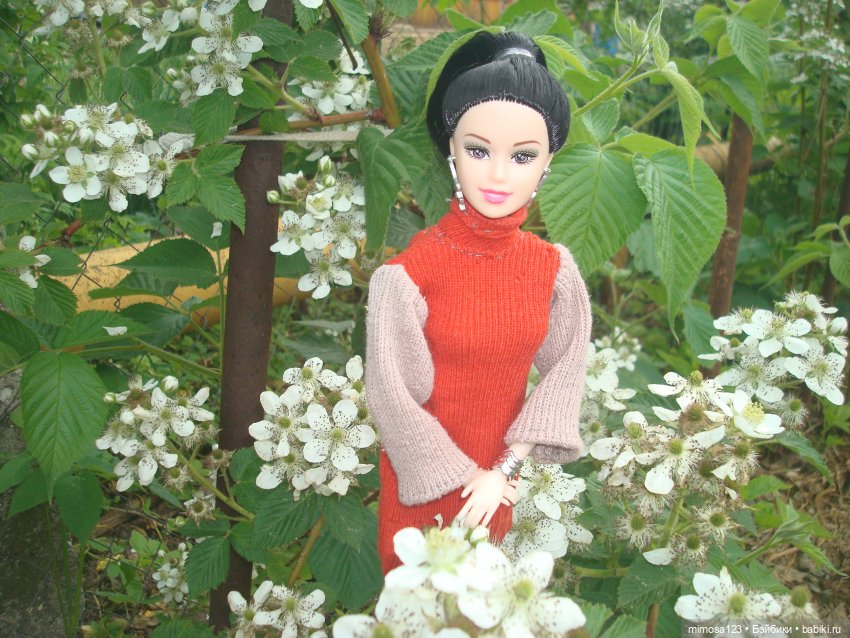 Ничего особенного, просто Аврора