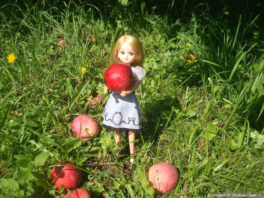 Ликка и конец лета — Куклы Takara Tomy (Такара): Licca (Ликка)