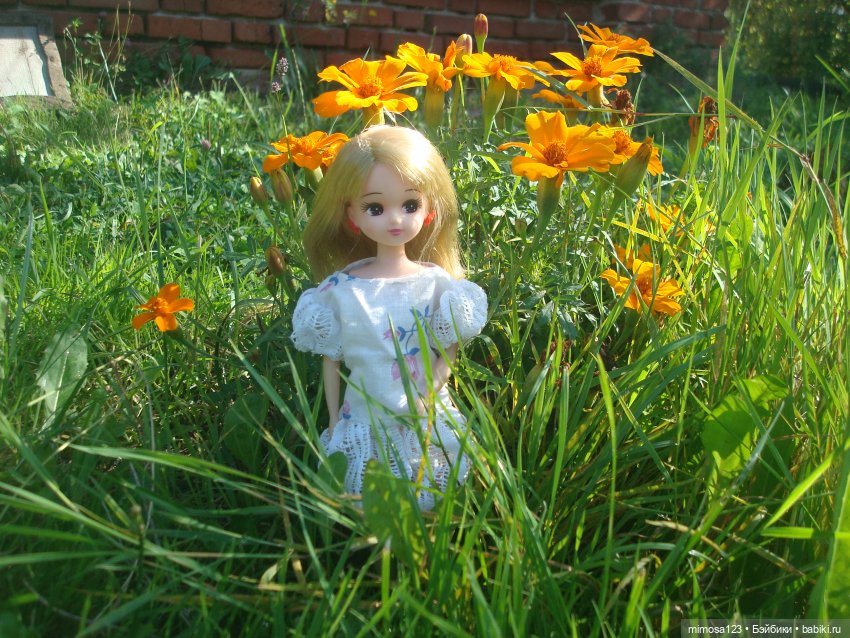 Ликка и конец лета — Куклы Takara Tomy (Такара): Licca (Ликка) (фото 10)