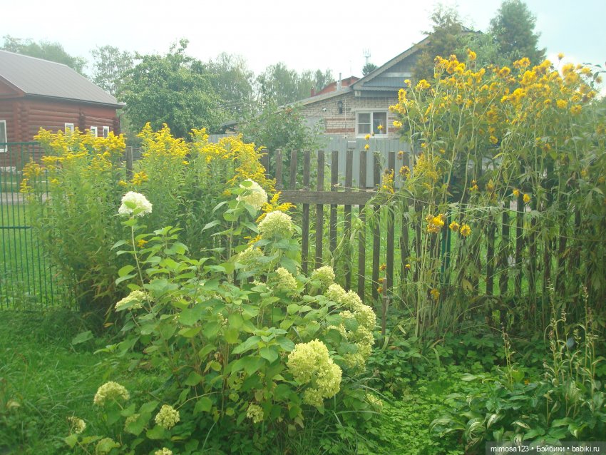 Ликка и конец лета — Куклы Takara Tomy (Такара): Licca (Ликка)