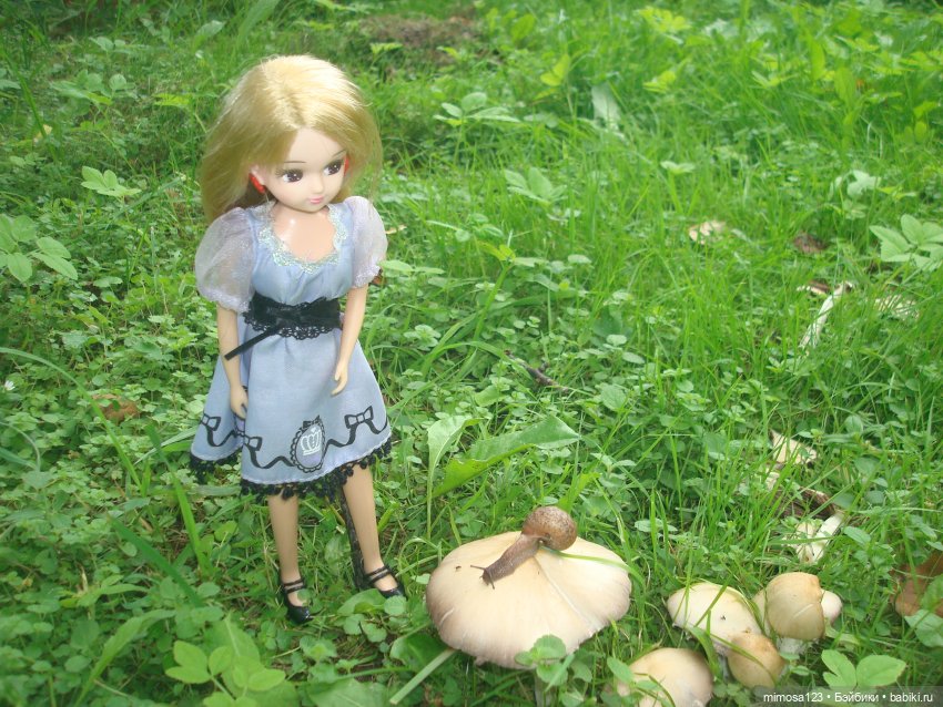 Ликка и конец лета — Куклы Takara Tomy (Такара): Licca (Ликка)