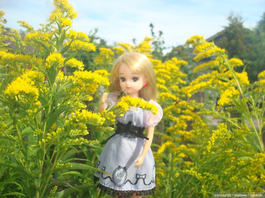 Ликка и конец лета — Куклы Takara Tomy (Такара): Licca (Ликка)