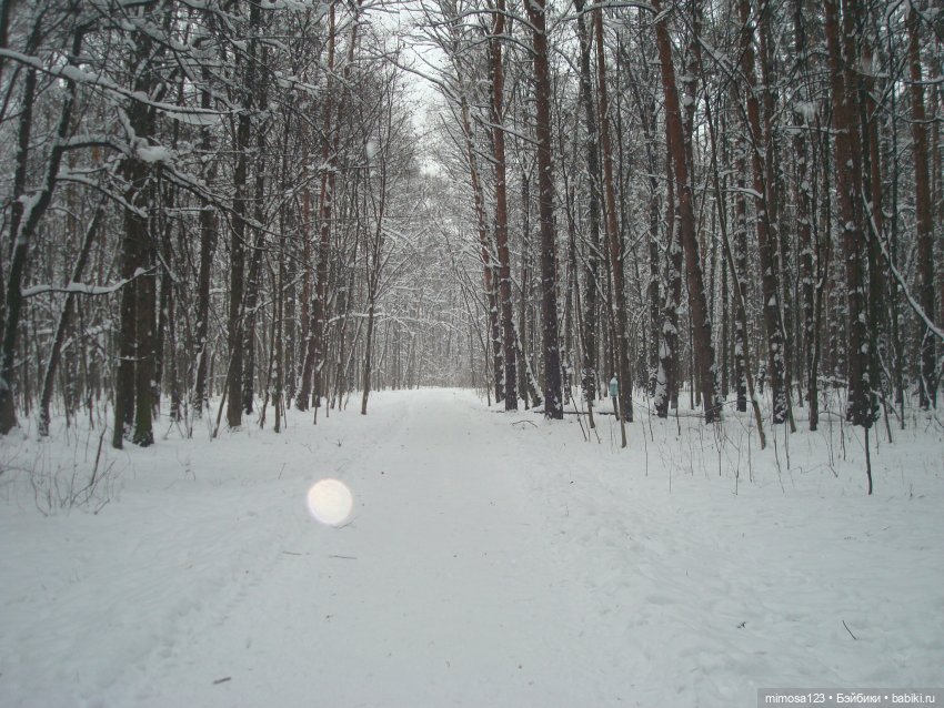 Блондинки зимой — Куклы Barbie (Барби): Looks