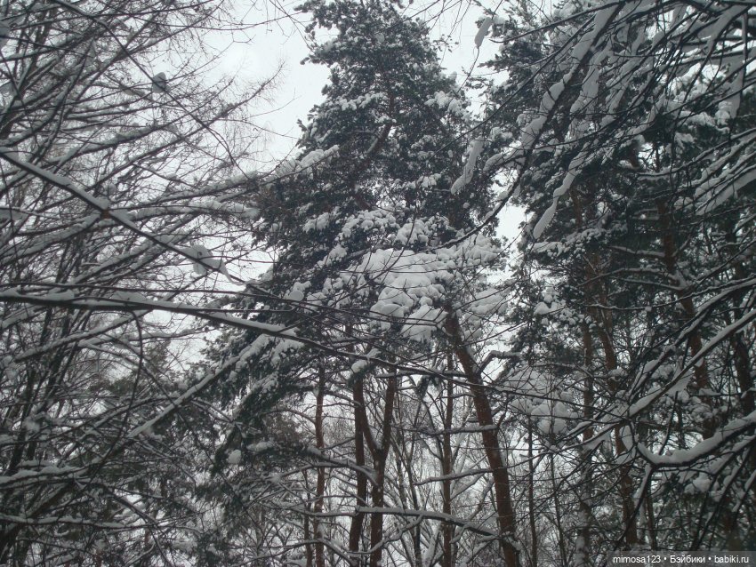 Блондинки зимой — Куклы Barbie (Барби): Looks (фото 2)