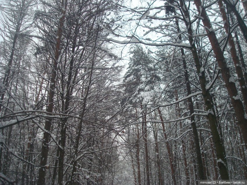 Блондинки зимой — Куклы Barbie (Барби): Looks (фото 3)