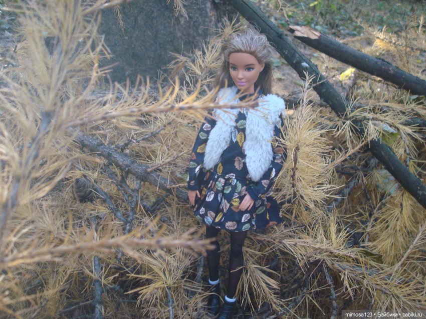 20 кукольных фаворитов — Куклы Barbie (Барби): Looks