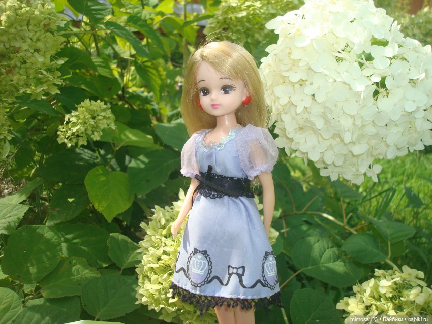 20 кукольных фаворитов — Куклы Barbie (Барби): Looks