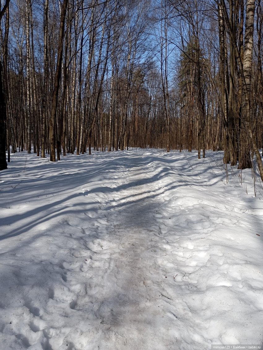 И снова весна, неужели | Бэйбики И снова весна, неужели — Куклы Barbie (Барби): Looks