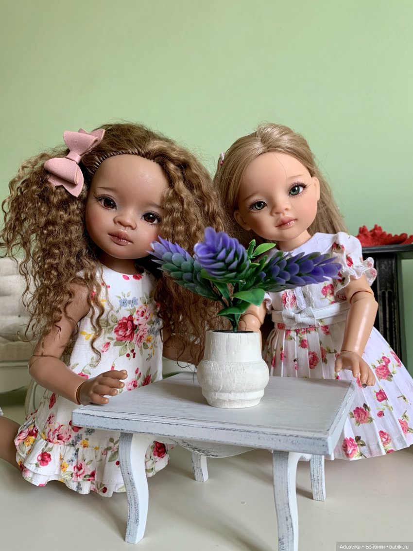 Фикус! Зацветёт, не зацветёт